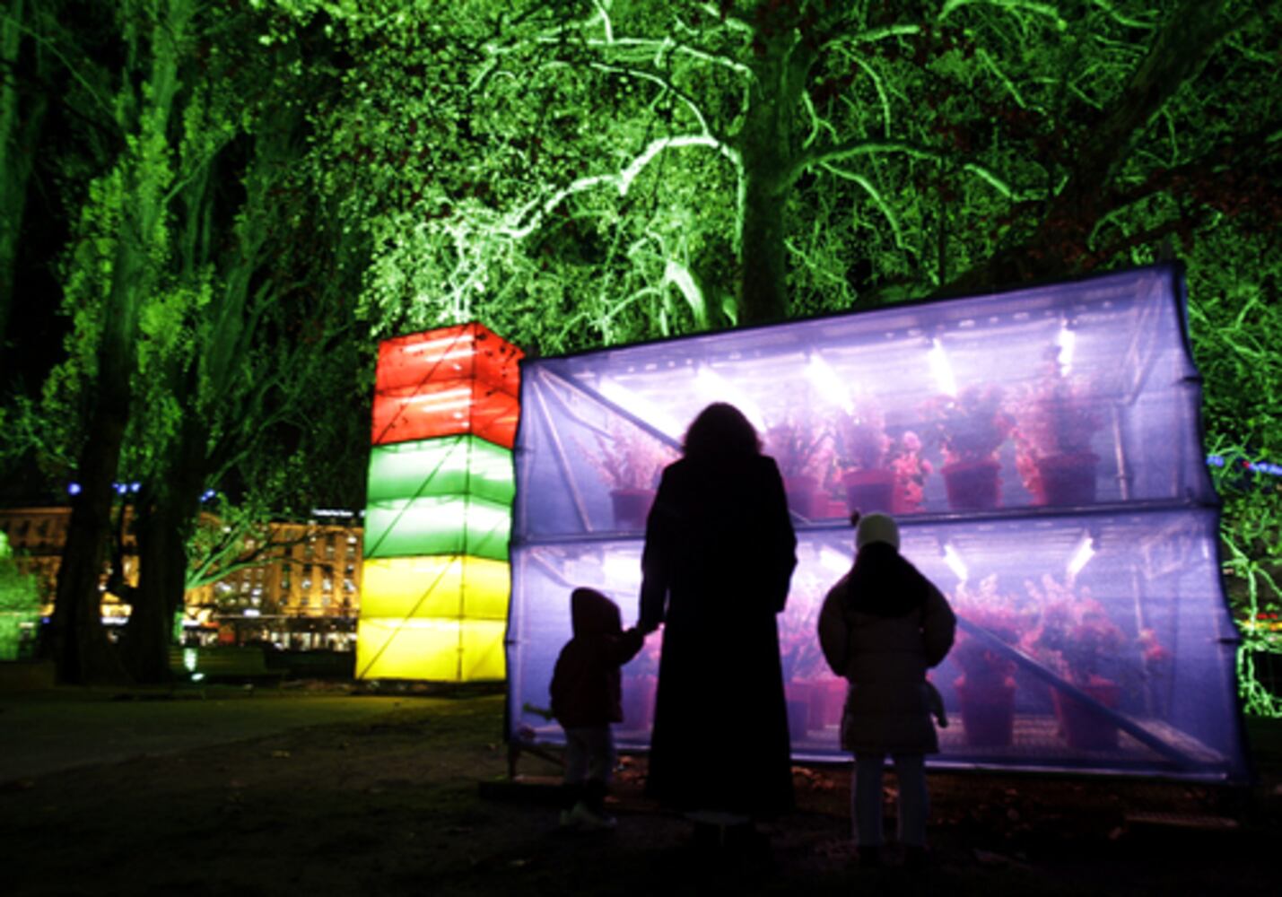 Trees represent Christmas around the world