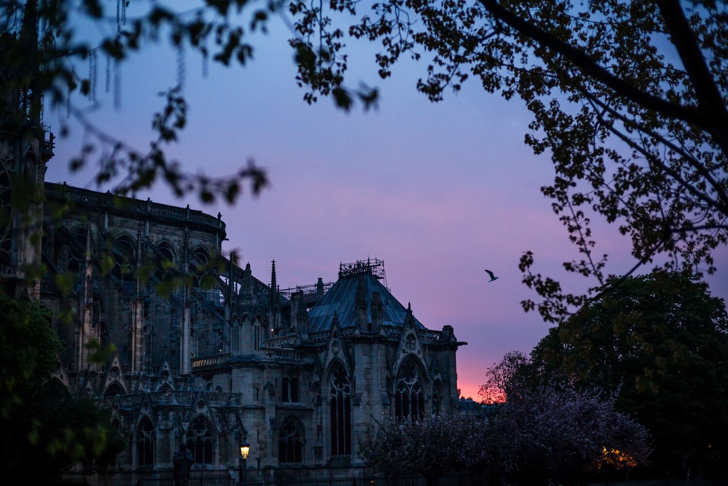 Photos: Notre Dame fire aftermath