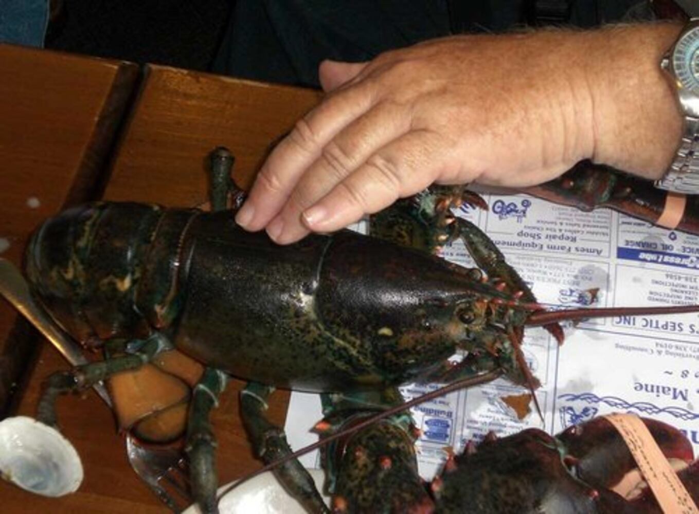 Maine: Scenery and lobster