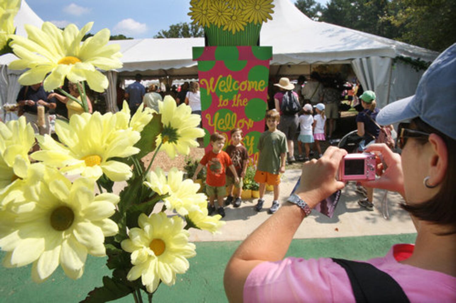 Yellow Daisy Festival