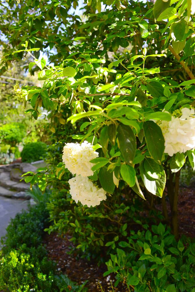 Beauty of this Dutch colonial changes with the seasons