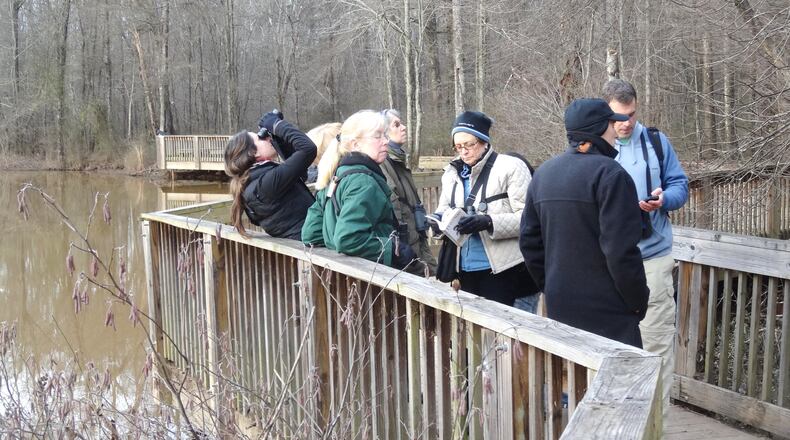 Using field guides and phone apps, a birding team checks on the identity of a bird spotted at Constitution Lakes Park during last year’s Intown Atlanta Christmas Bird Count. The bird counts, managed by the Audubon Society, are underway across Georgia and the rest of the nation. PHOTO CREDIT: Charles Seabrook