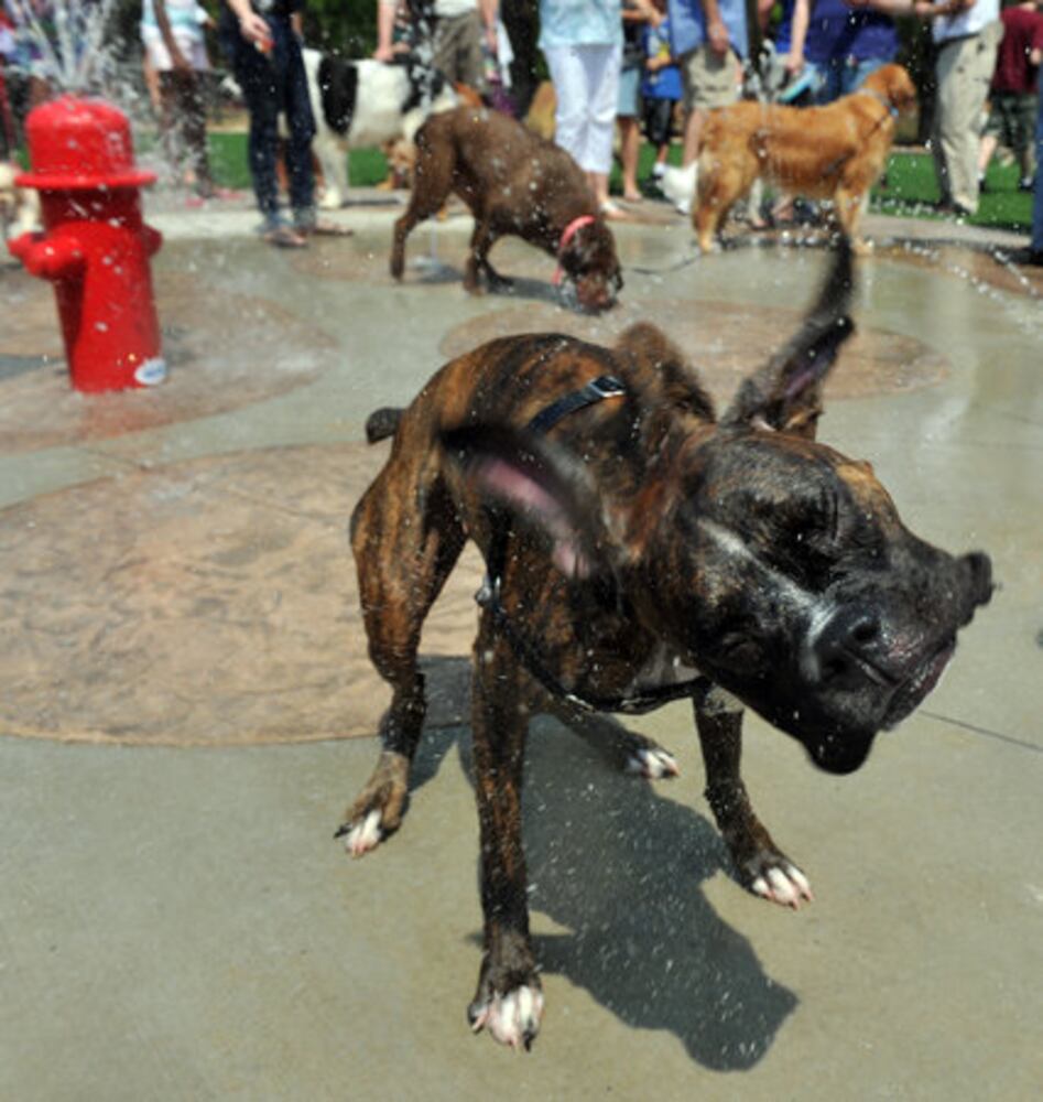 Johns Creek dog park opens