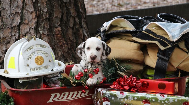 The Sandy Springs Police & Fire departments are hiring with competitive salaries and benefits. (Courtesy Sandy Springs Fire Department)