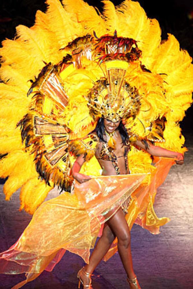 Miss Universe 2009 costume photos