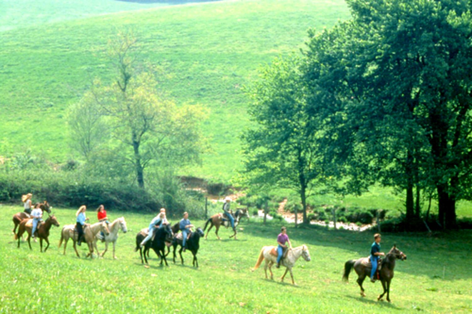 Dahlonega resort a labor of one family's love