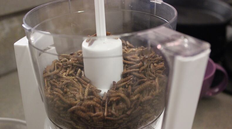 Toasted mealworms are one of the easiest, most palatable ways to eat bugs. You can also grind them into a powder to use in baked goods or to sprinkle on top off other foods.