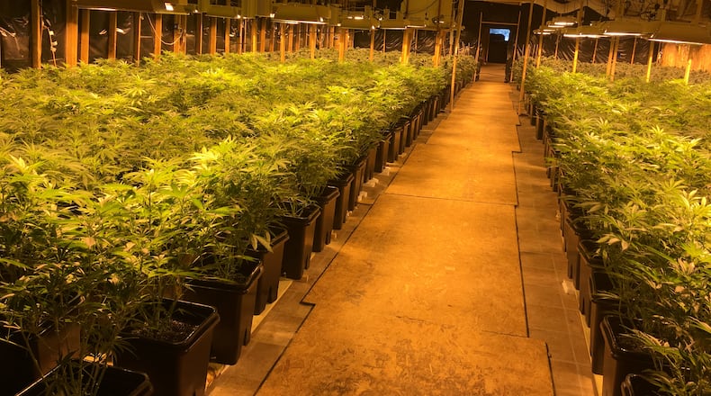 An $18 million marijuana bust took place in Franklin County Friday, authorities said.