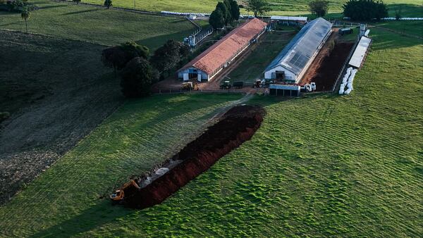 An aerial view of an an excavator digging a trench to bury infected poultry on a commercial farm where a bird flu outbreak was detected, in the municipality of Montenegro, Rio Grande do Sul state, Brazil, Saturday, May 17, 2025. (AP Photo/Wesley Santos)