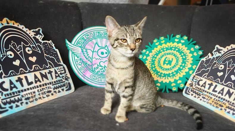 The owner of Java Cats Cafe and artist behind Catlanta partnered to sell his cat-themed prints in her cafe.