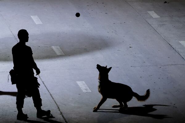 A rescuer plays with his sniffer dog at the site of an under-construction high-rise building that collapsed on Friday after an earthquake in Bangkok, Thailand, Tuesday, April 1, 2025. (AP Photo/Wason Wanichakorn)