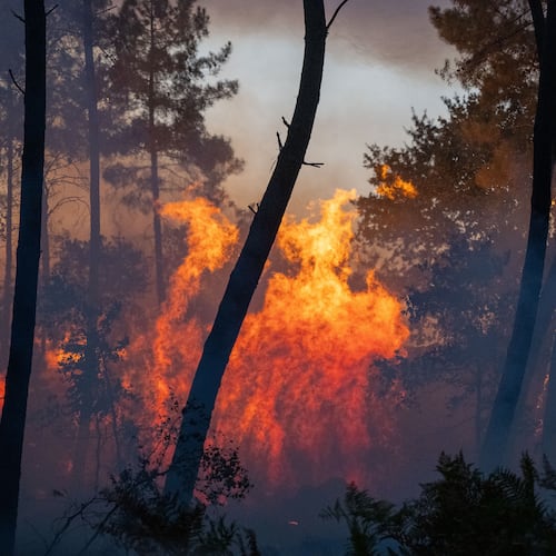 Wildfires advance near Le Proge region, western France, Thursday, July 23, 2026. (AP Photo/Caroline Blumberg)