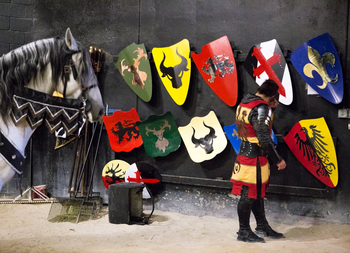Medieval Times crowns first queen