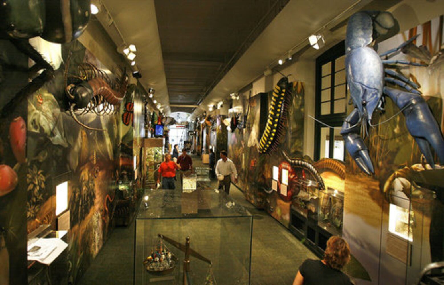 Insect museum a hit in New Orleans