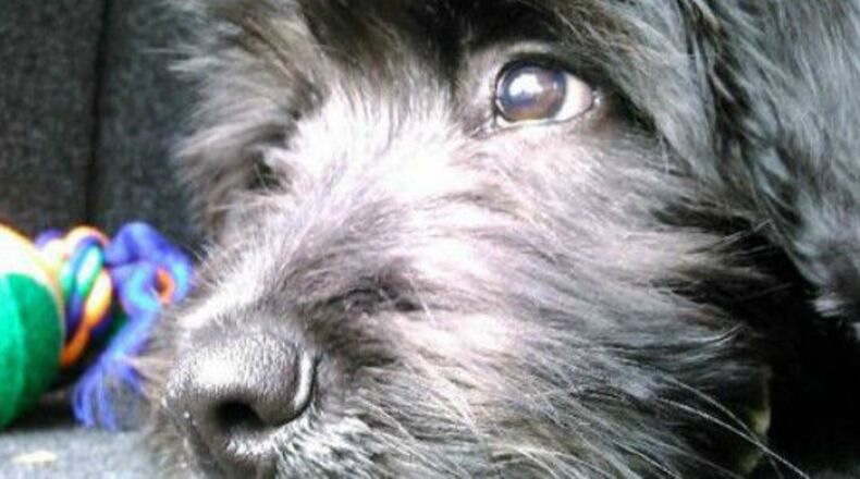 Image courtesy of Care2