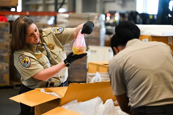 Wildlife inspectors Ashley Goodson and Desireé Smith examine a shipment of tropical fish during an inspection at a cargo warehouse at Hartsfield-Jackson International Airport. (Daniel Varnado/For the Atlanta Journal-Constitution)
