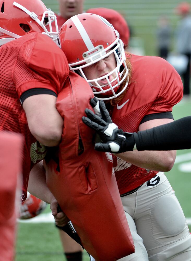 Georgia Bulldogs in Florida