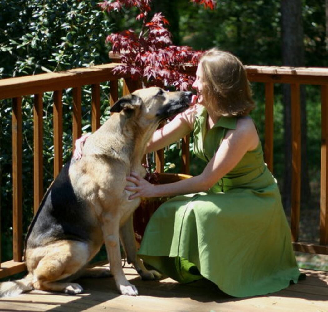 Atlanta's Top Dogs: 3. German Shepherds
