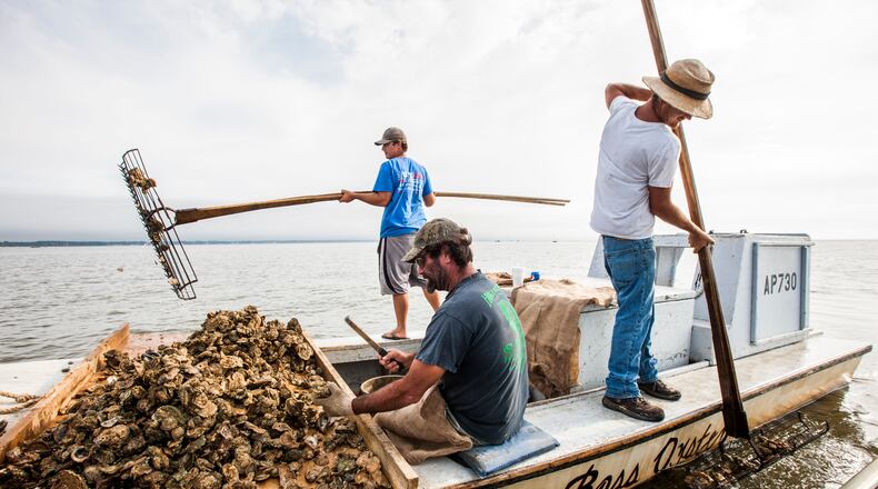 In this 2015 file photo, John Stokes, center, culls Apalachicola oysters while his two sons Ryan, left, and Wesley Stokes tong oysters from the bottom of Apalachicola Bay. The region’s oyster industry is at the heart of the Florida-Georgia Supreme Court case justices ruled on July 27, 2018.