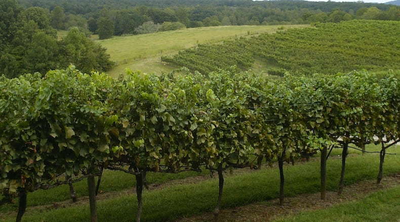 The view from the vineyards at Kaya Vineyard and Winery along the Dahlonega Wine Trail. Contributed by Blake Guthrie