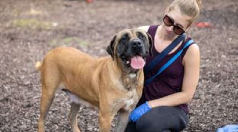 A DeKalb County volunteer appears with Janet about a year ago when Janet was at the shelter.