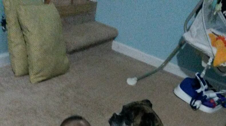 Yanna, a 10-year-old female boxer, was killed Monday by DeKalb County police responding to the wrong house. She was a “special friend” to Chris and Leah McKinley’s 1-year-old son, their attorney said. (Credit: McKinley family)