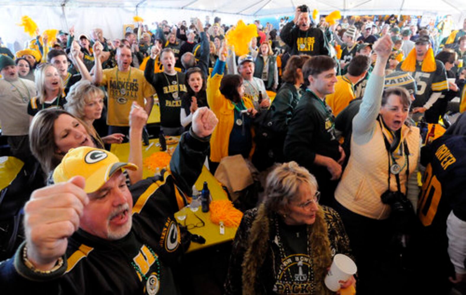Fans go Super Bowl crazy