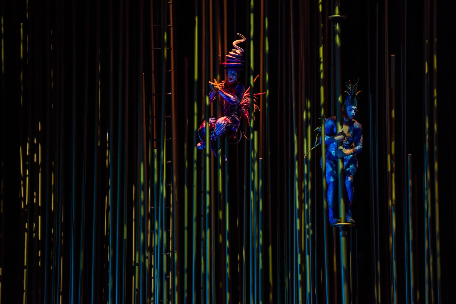 Cirque du Soleil's 'Varekai' hits Duluth