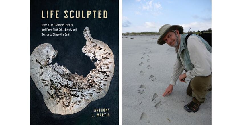 Emory scientist Tony Martin is the author of "Life Sculpted."
Courtesy of University of Chicago Press / Ruth Schowalter