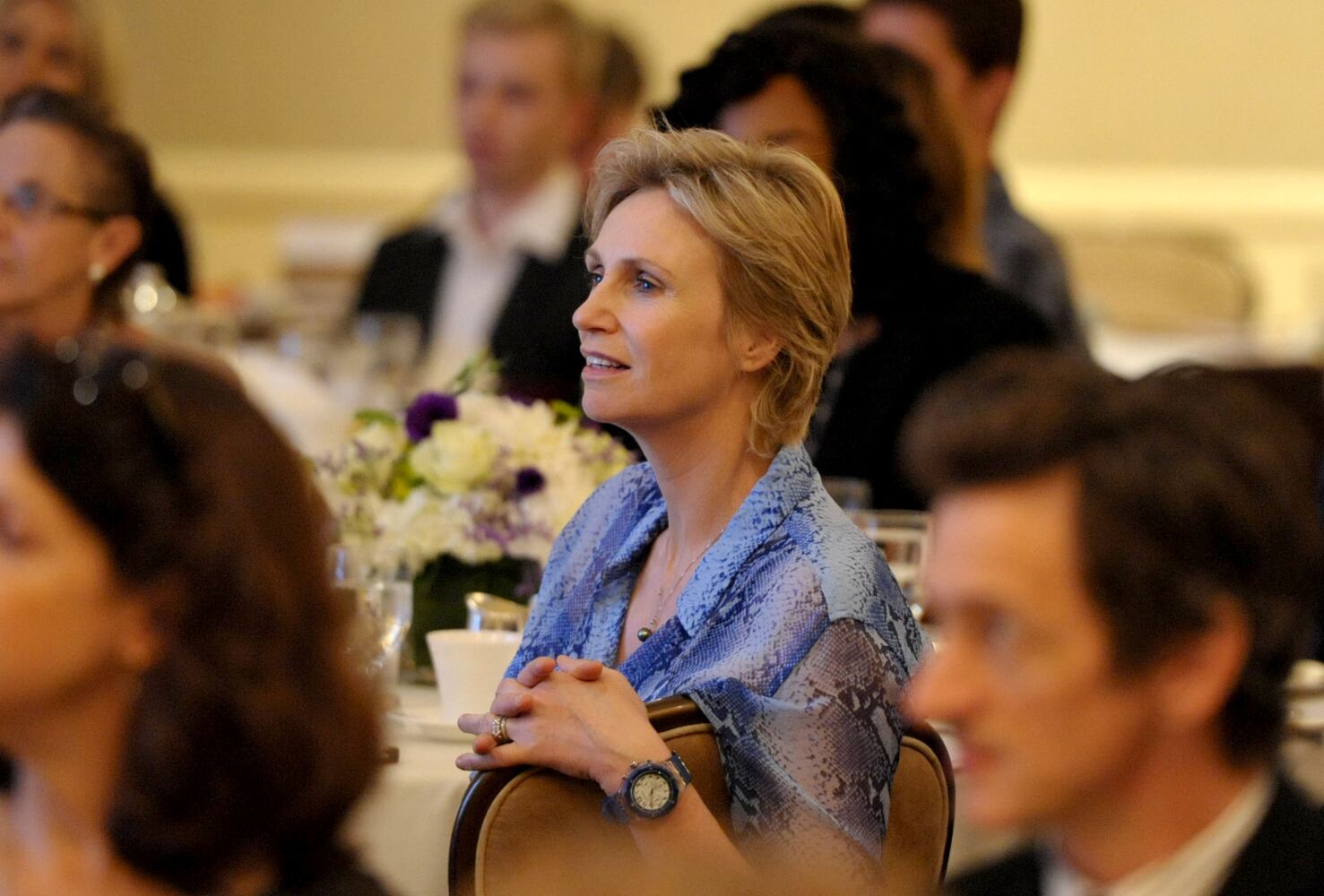 2012 Media Access Award
