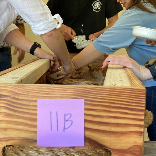 FILE - Forensic anthropologists, archeologists and volunteers prepare the remains of an unidentified Revolutionary War soldier killed in the Battle of Camden in 1780 for reburial on March 30, 2023, in Columbia, S.C. (AP Photo/Jeffrey Collins, File)