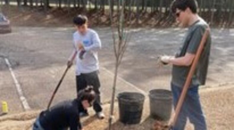 Volunteers are invited to plant 150 trees on March 11 or 25 along public rights-of-way for DeKalb County and Trees Atlanta. (Courtesy of DeKalb County)