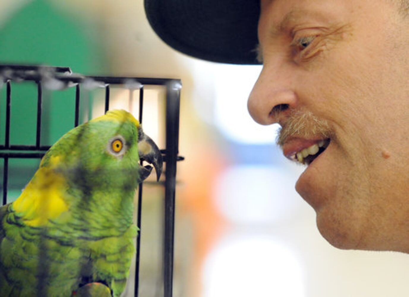 Scenes from the Atlanta Exotic Bird Fair