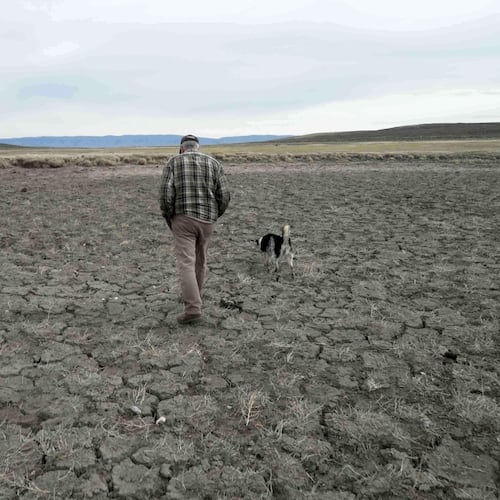 FILE - Philip Anderson walks across a dry stock pond March 31, 2026, in Walden, Colo. (AP Photo/Brittany Peterson, File)