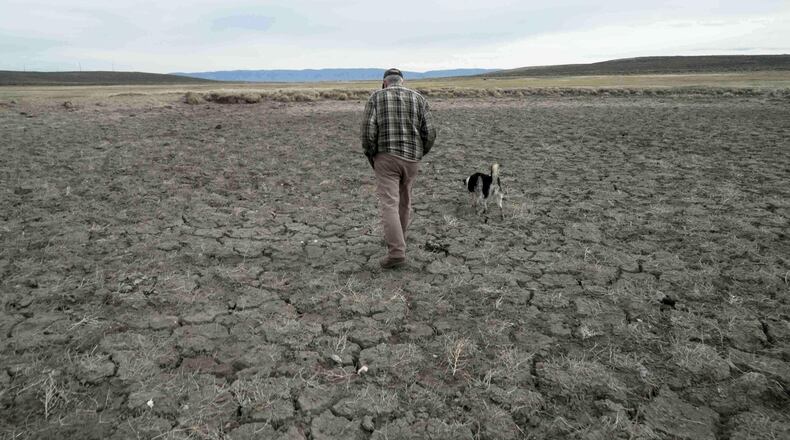 FILE - Philip Anderson walks across a dry stock pond March 31, 2026, in Walden, Colo. (AP Photo/Brittany Peterson, File)
