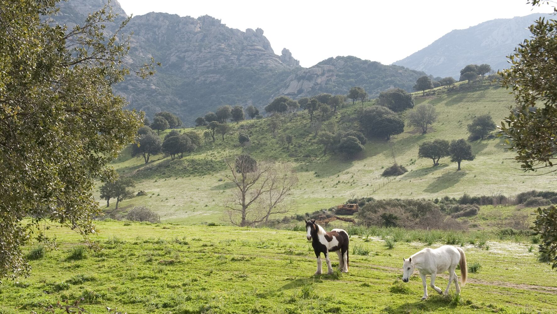 Into Corsica, from rustic villages to stony cliffs