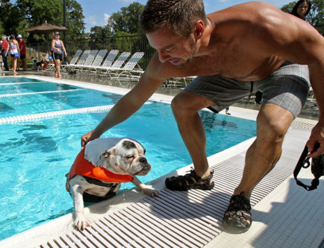 Atlanta's Splish Splash Doggie Bash