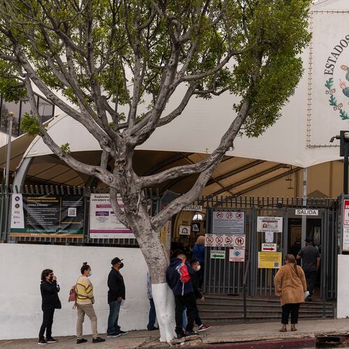 FILE - People line up for services at the Mexican Consulate in Los Angeles, May 8, 2021. (AP Photo/Damian Dovarganes, File)