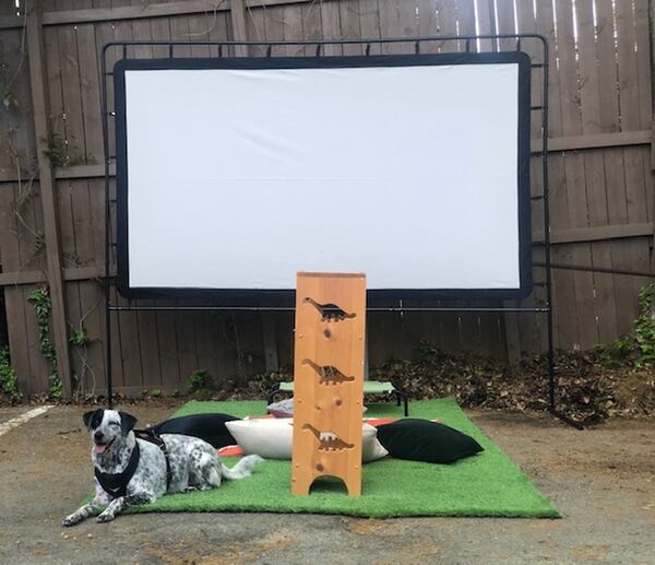 Blitzen gets ready for movie night. Contributed by Stephanie Adler