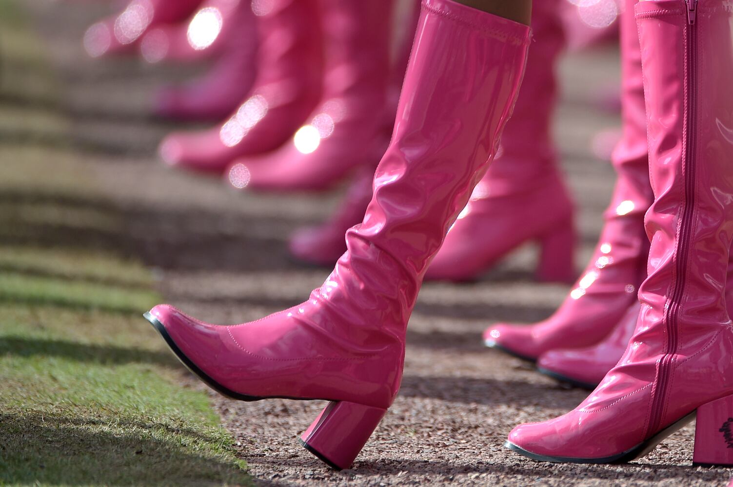 NFL cheerleaders 2015, Week 6