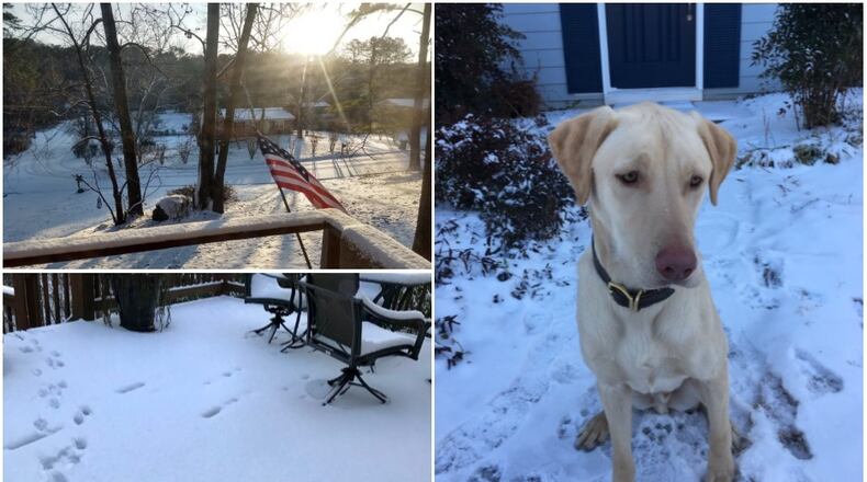 Here's a look at some of the photos tweeted out in Marietta on Wednesday, Jan. 17, 2018, including Maverick the dog on the right.