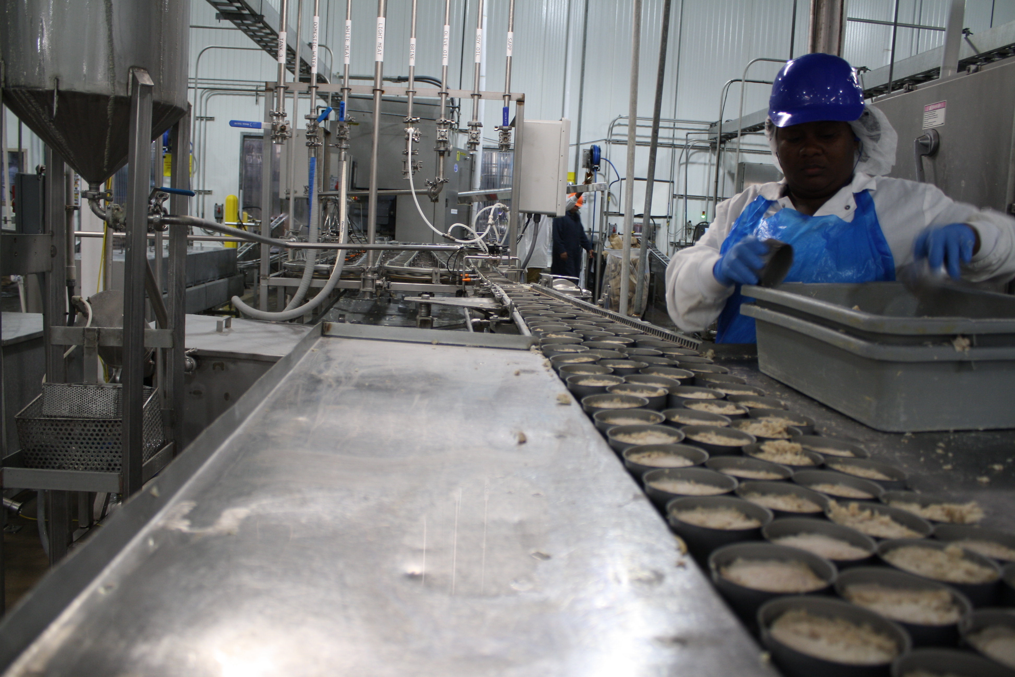 A worker at the Chicken of the Sea canning facility in Lyons. Opening in 2009, it was the company’s first domestic canning operation. (Courtesy of Chicken of the Sea)
