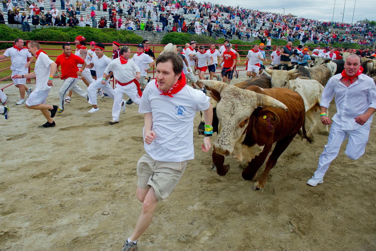 The Great Bull Run