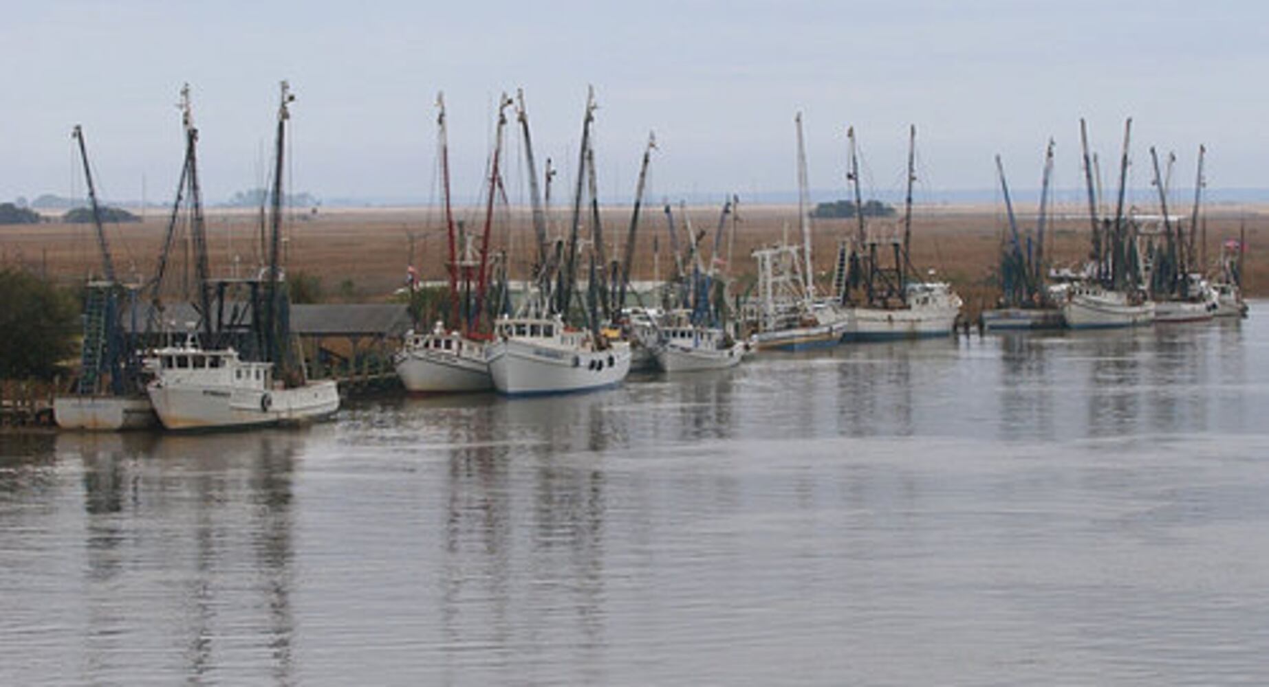 Georgia shrimp season opens Tuesday