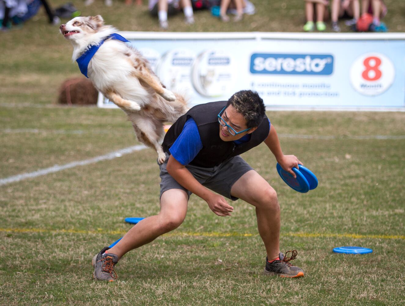 Atlanta Dogwood Festival 2018