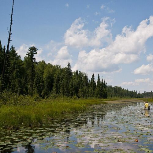 FILE- In this undated photo provided by Minnesota Public Radio on Sept. 2, 2016, canoeists navigate the Pocket River in the Boundary Waters Canoe Area Wilderness near Ely, Minn. (Nathaniel Minor/Minnesota Public Radio via AP, File)/Minnesota Public Radio via AP)