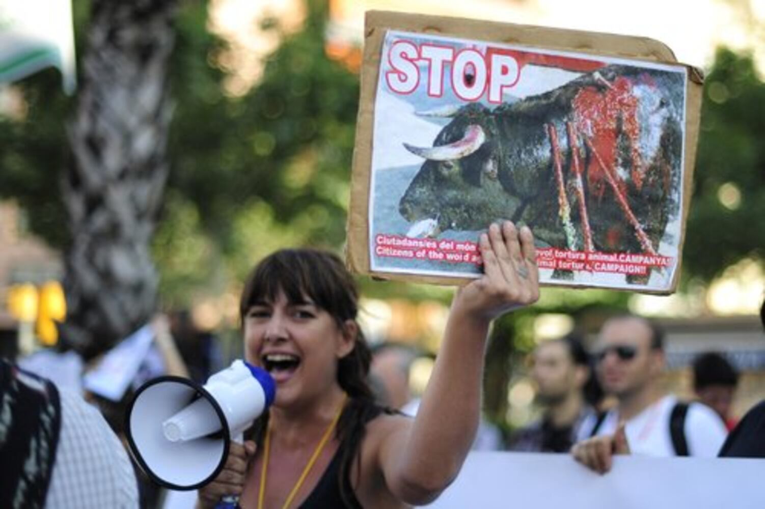 Bullfighting protest in Spain