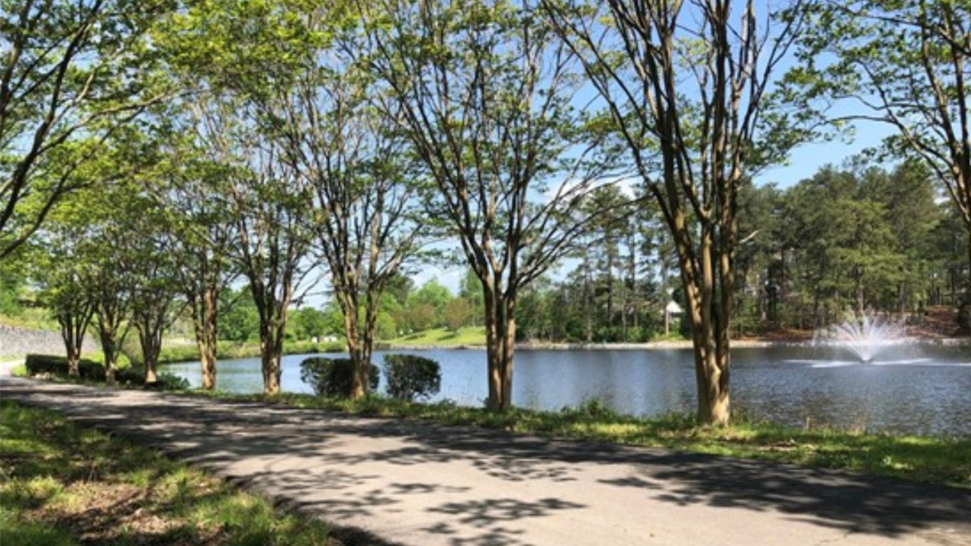 Snellville's Briscoe Park, seen here in 2020, was the location of two separate shootings over the weekend. (Courtesy of city of Snellville)