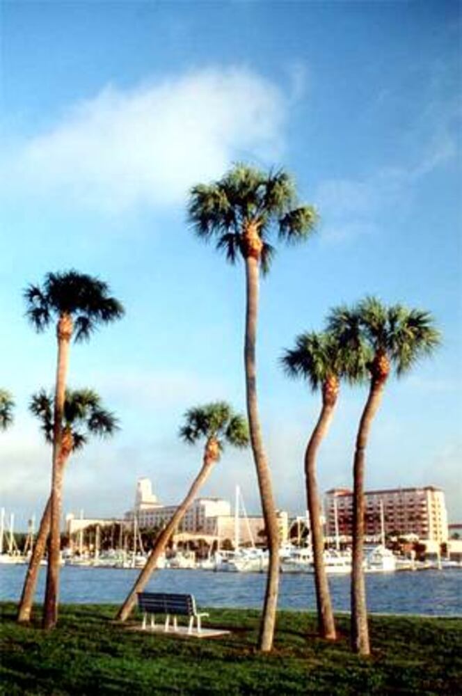 Tampa attractions plentiful and fun