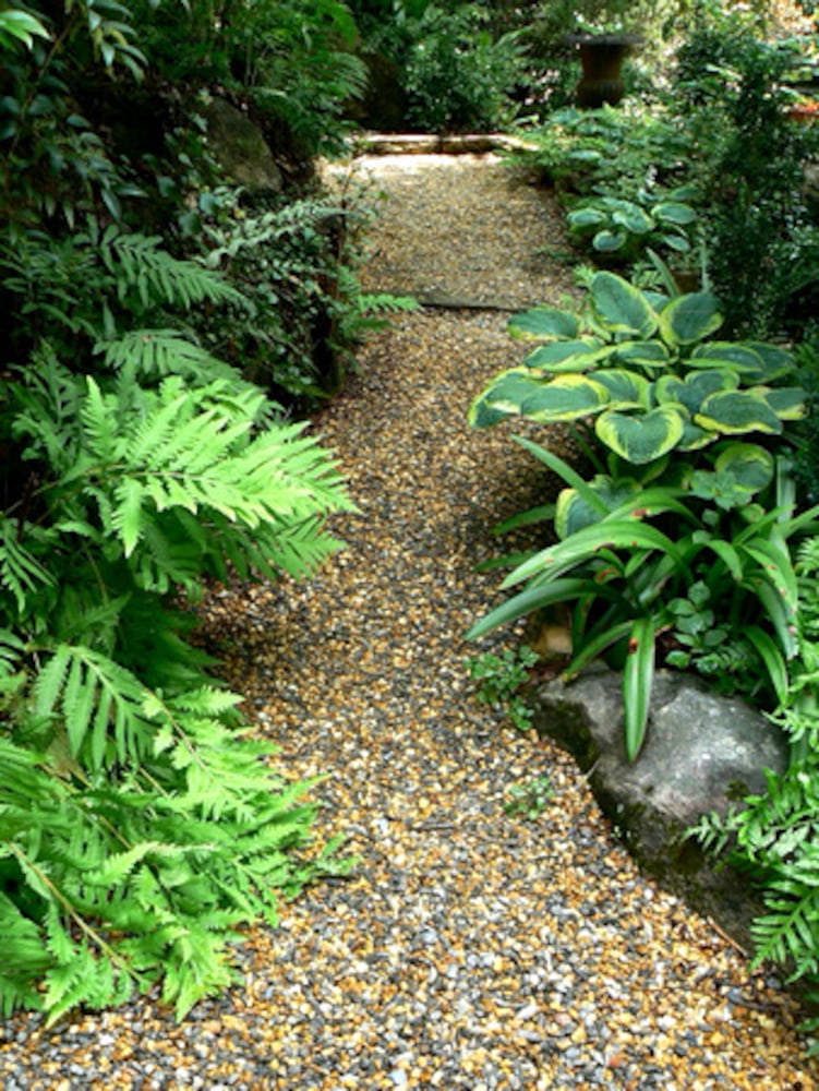 When grass won't grow, consider these alternatives